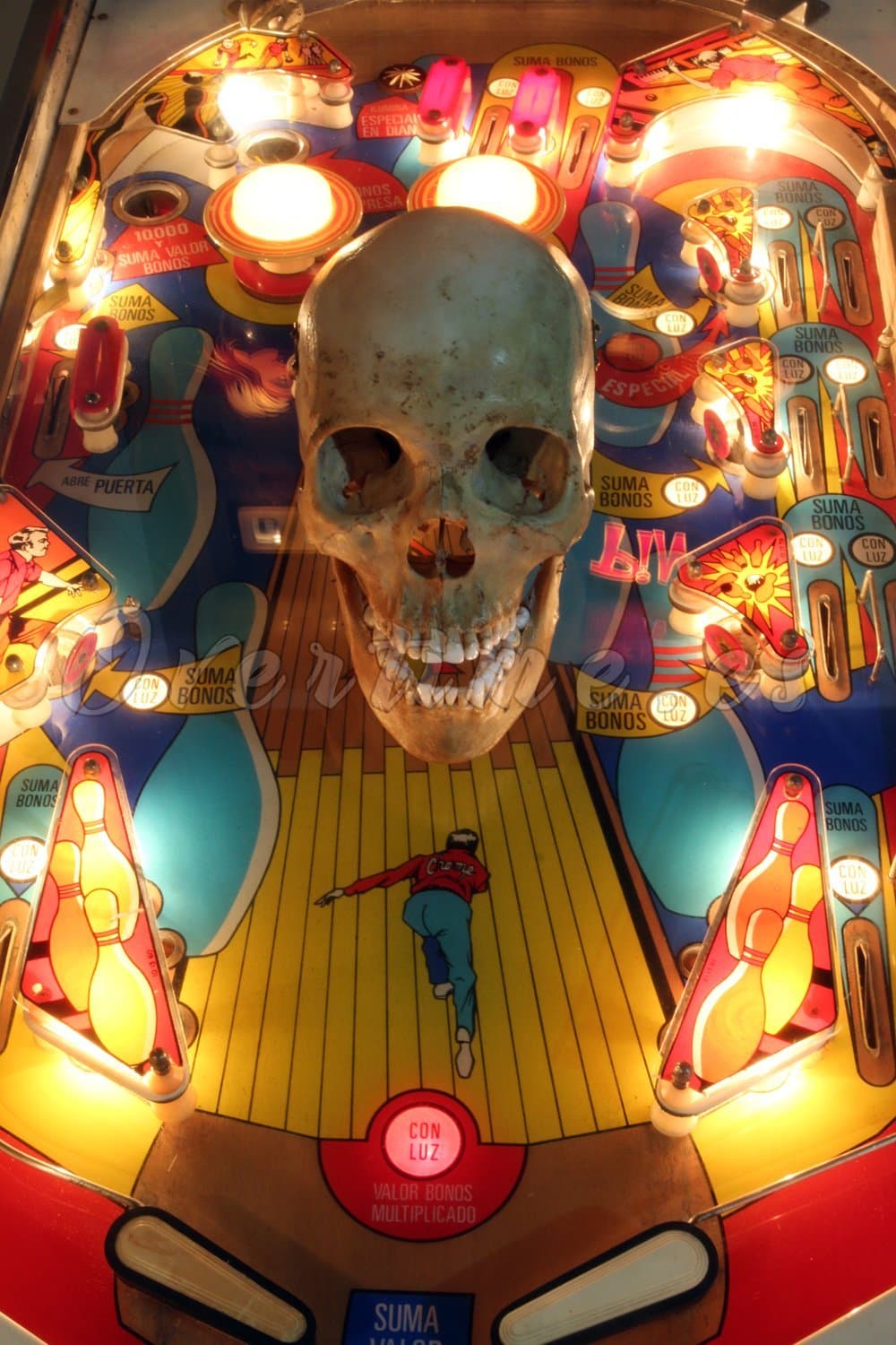 Fotografía Calavera