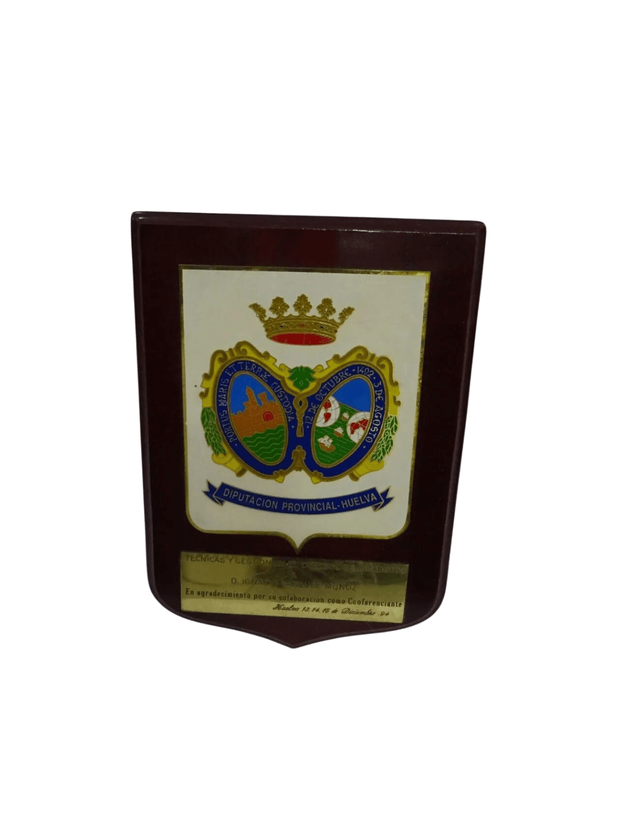 Titulo metopa por curso plaga de mosquitos