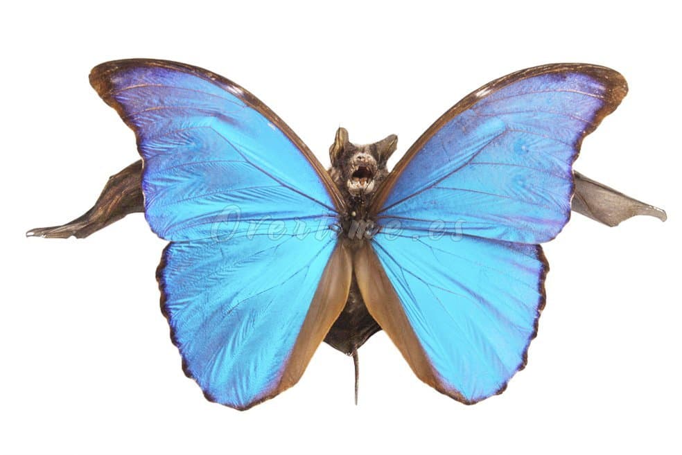 Fotografía "Dorian Grey frente a su retrato"