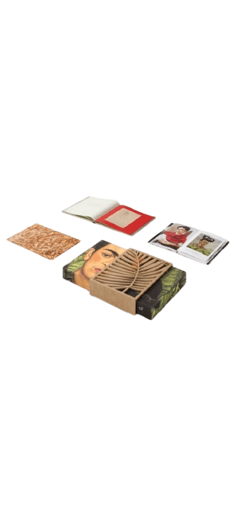 Libro "Los sueños de Frida Kahlo"