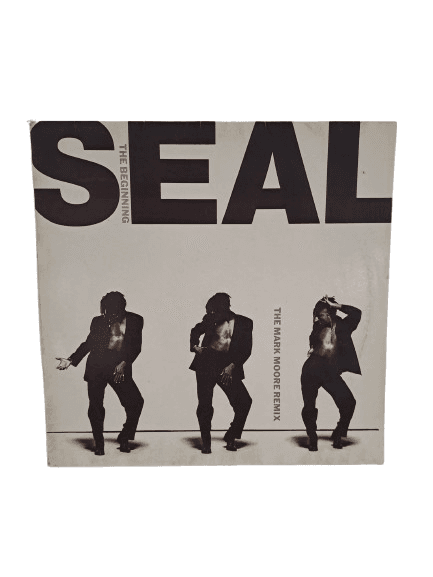 Vinilo The Beginning (The Mark Moore Remix) de Seal